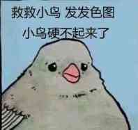 GIF番号出处图片