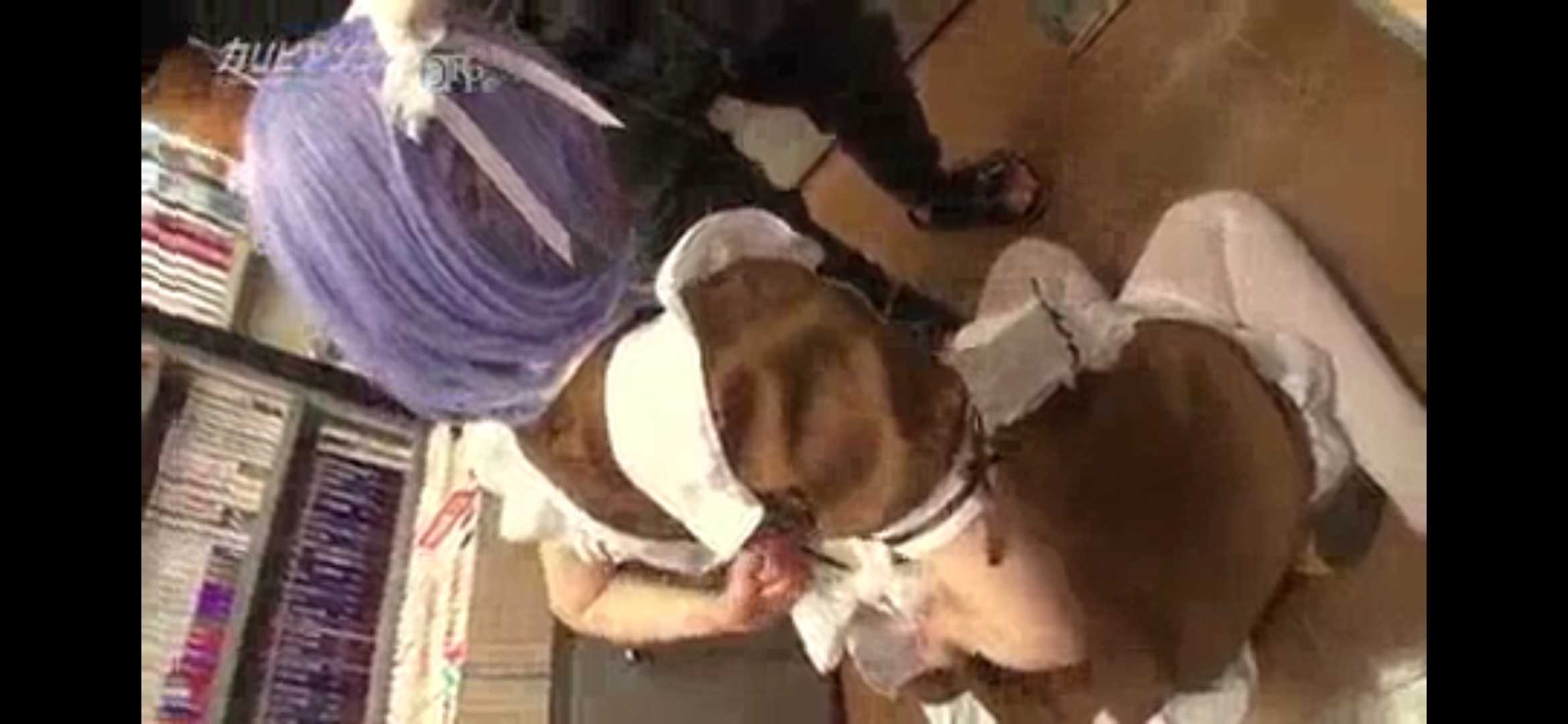GIF番号出处图片