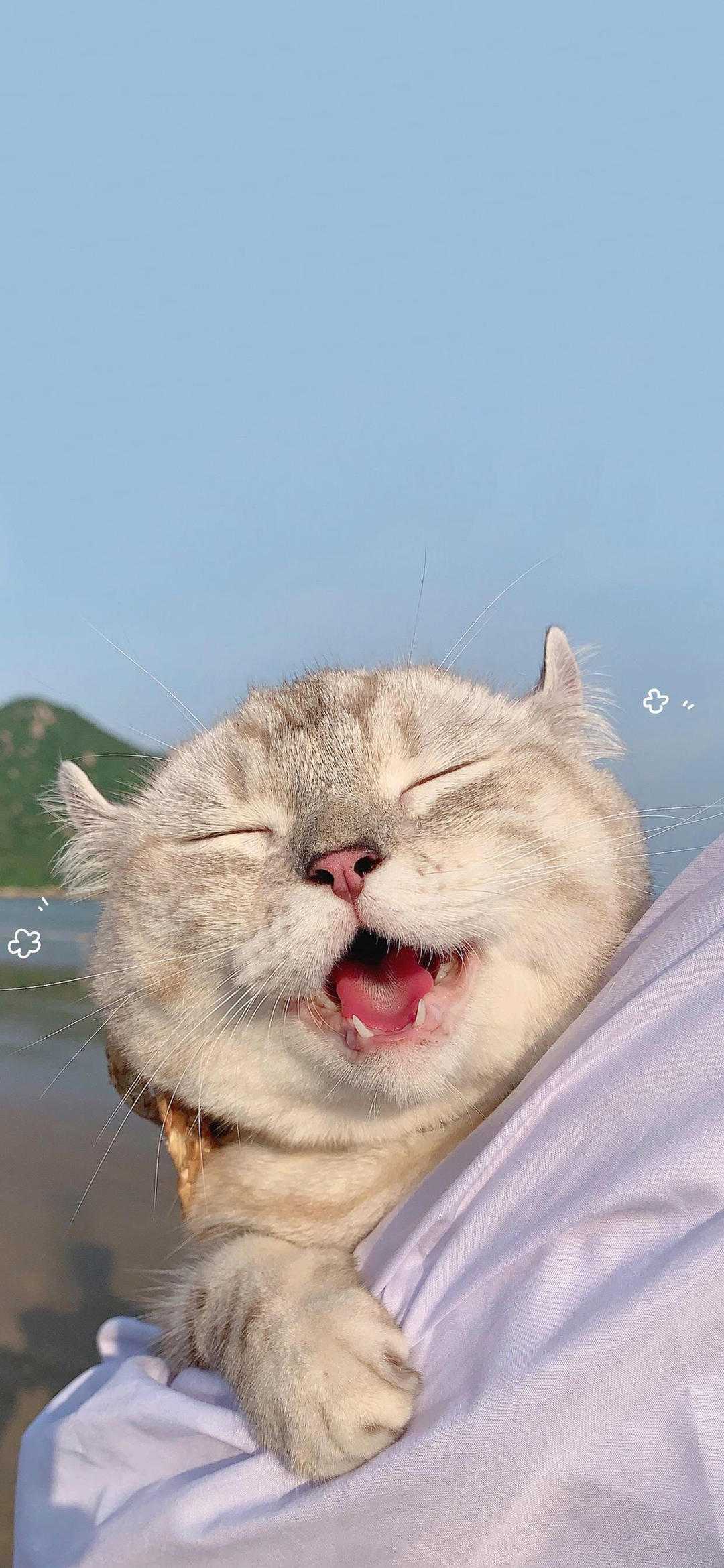 GIF番号出处图片