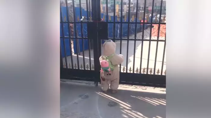 GIF番号出处图片