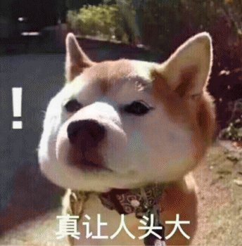GIF番号出处图片