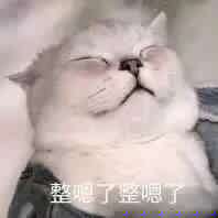 GIF番号出处图片