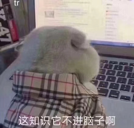 GIF番号出处图片