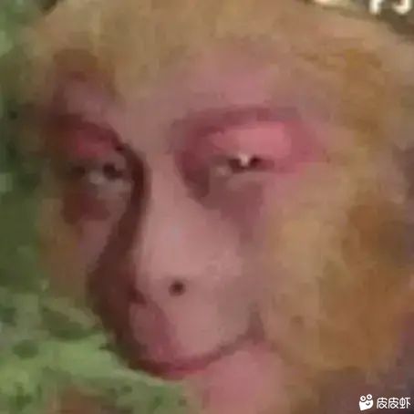 GIF番号出处图片
