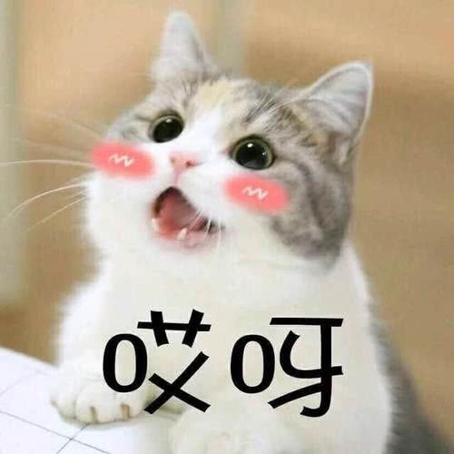 GIF番号出处图片