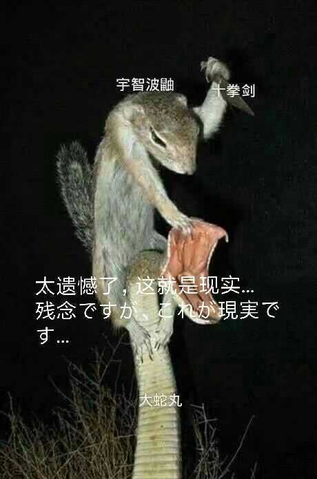 GIF番号出处图片