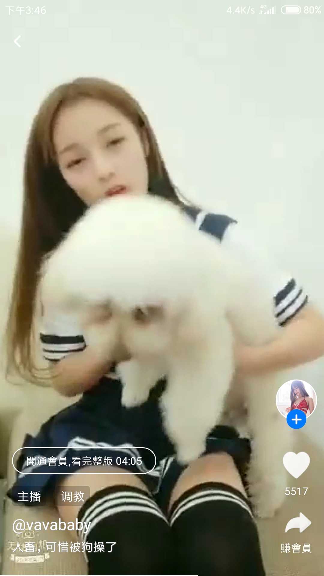 GIF番号出处图片