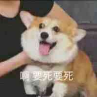 GIF番号出处图片