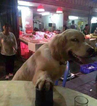 GIF番号出处图片