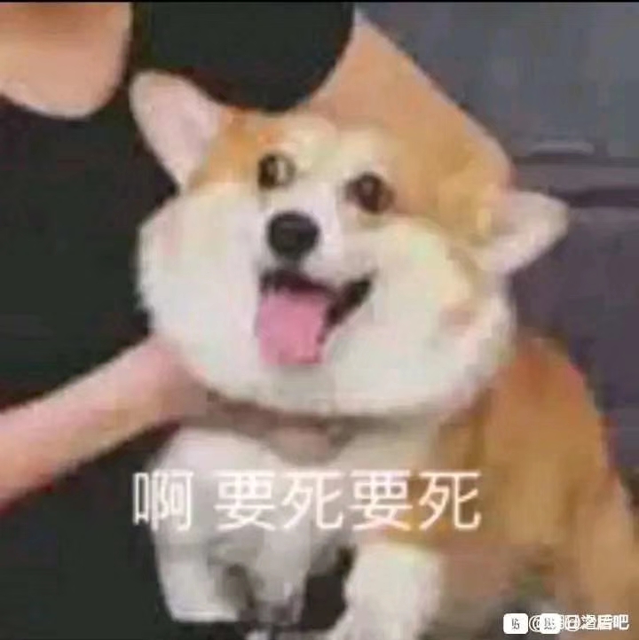 GIF番号出处图片