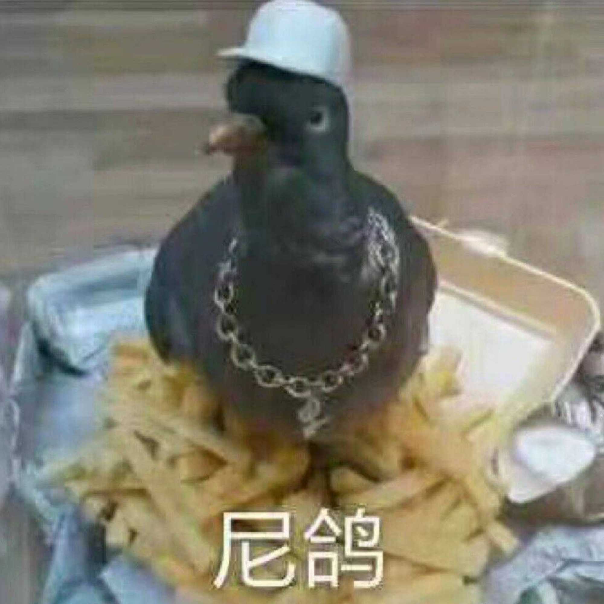 GIF番号出处图片