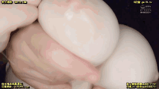 GIF番号出处图片